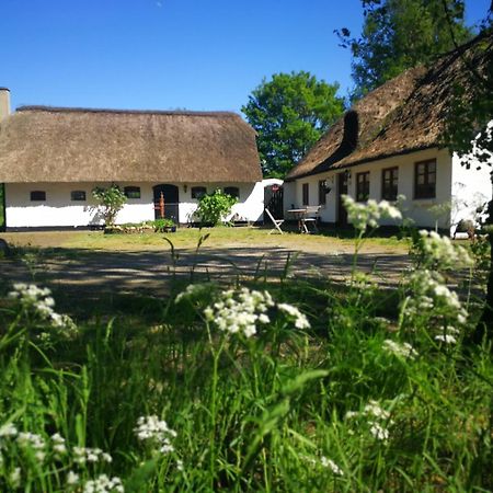 Gemuetliches Reetdachhaus Mit Kaminofen Hostel Ribe Εξωτερικό φωτογραφία