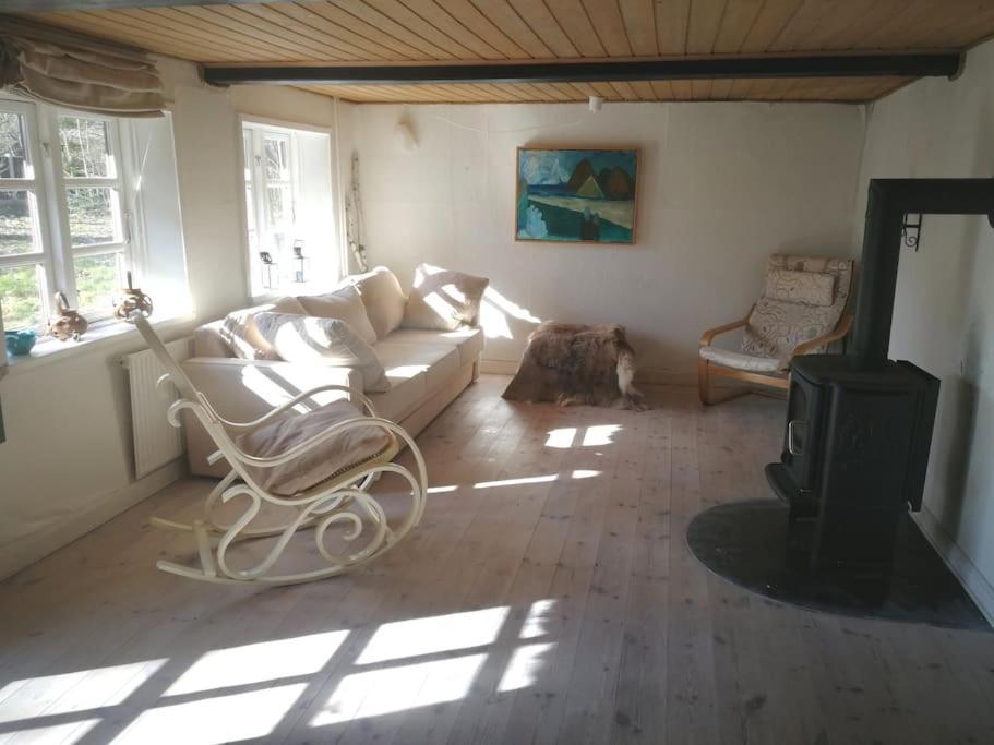 Gemuetliches Reetdachhaus Mit Kaminofen Hostel Ribe Εξωτερικό φωτογραφία