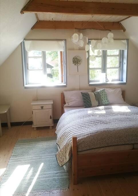 Gemuetliches Reetdachhaus Mit Kaminofen Hostel Ribe Εξωτερικό φωτογραφία
