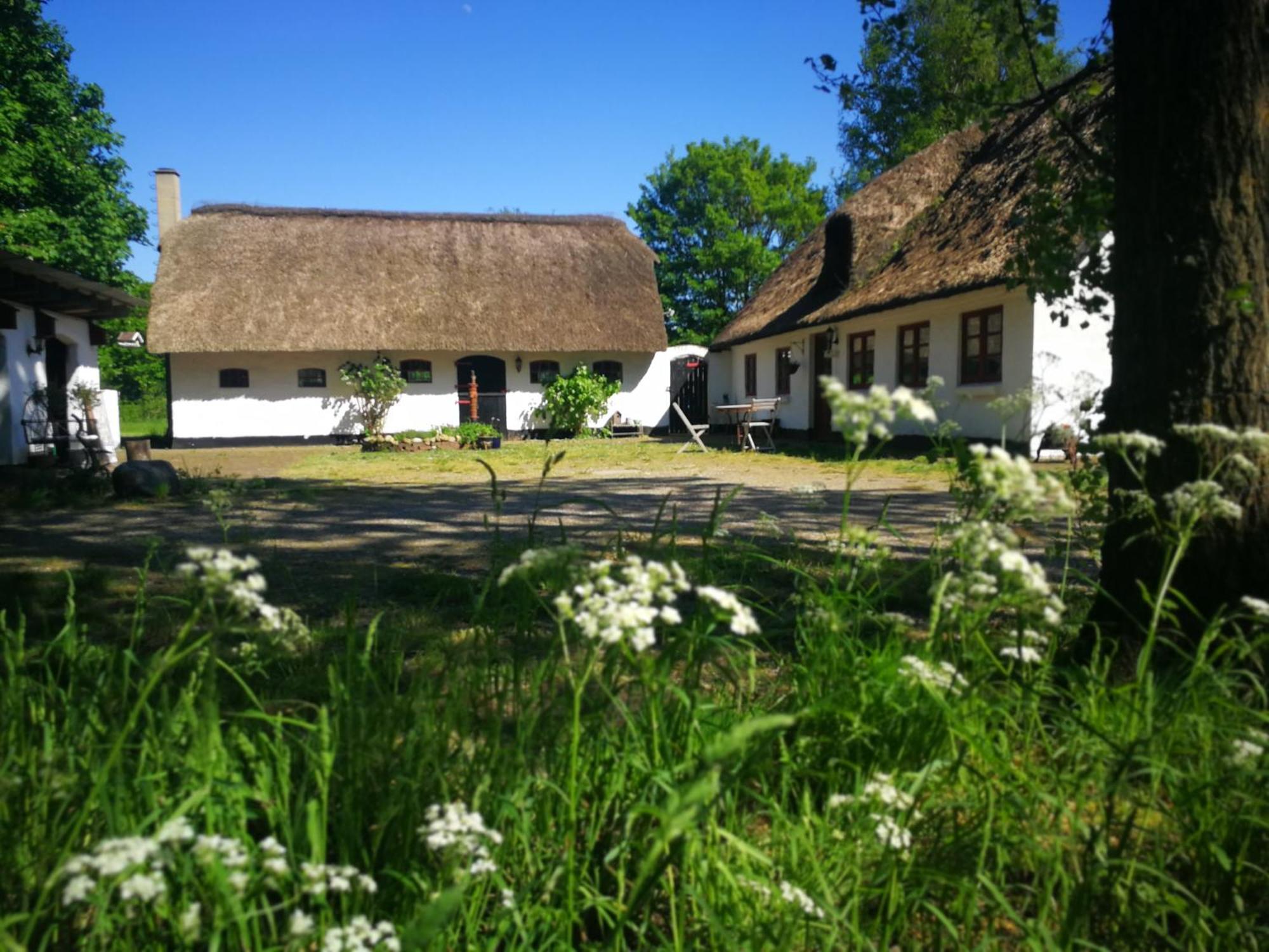 Gemuetliches Reetdachhaus Mit Kaminofen Hostel Ribe Εξωτερικό φωτογραφία