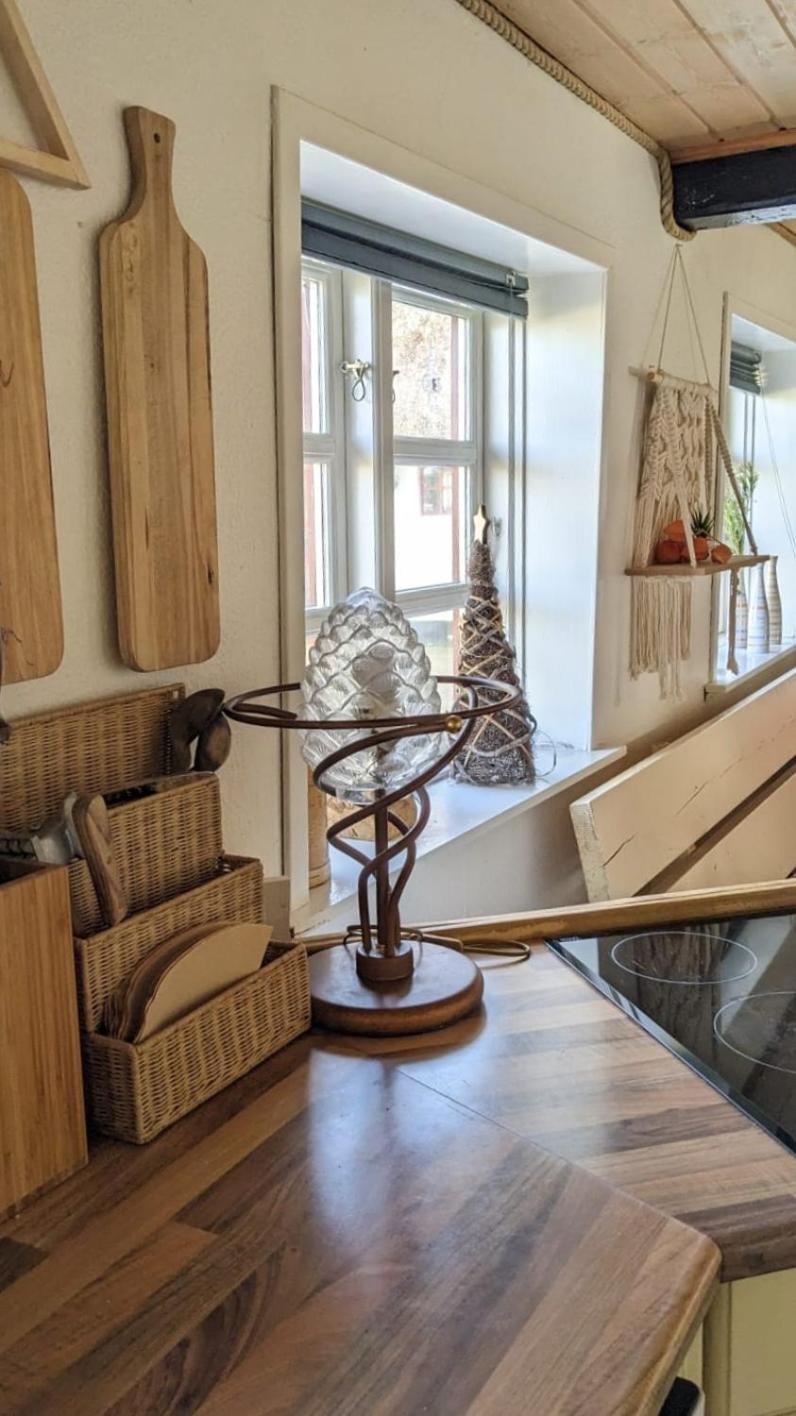 Gemuetliches Reetdachhaus Mit Kaminofen Hostel Ribe Εξωτερικό φωτογραφία